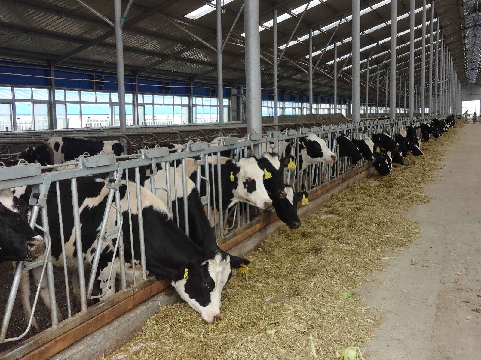 Çelik Tarım ve Hayvancılık Yapıları